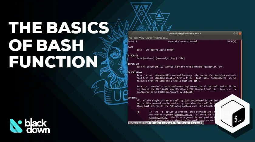 Bash Function Basics
