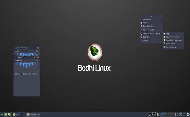Bodhi Linux